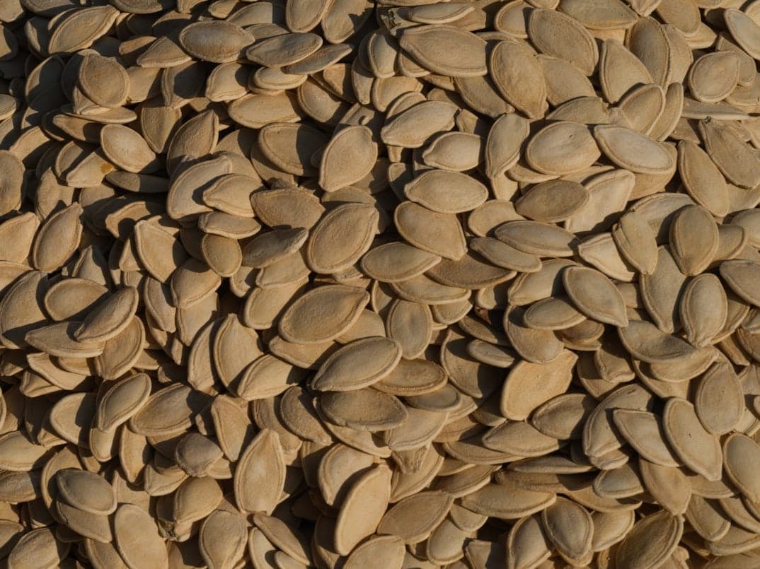 Nuts & Seeds background